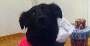 Gina @5