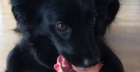 Gina April 2018