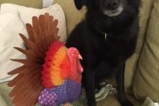 Gina Turkey