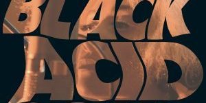 Lady Blackbird - Black Acid Soul - ginalovesjazz.com - the jazz