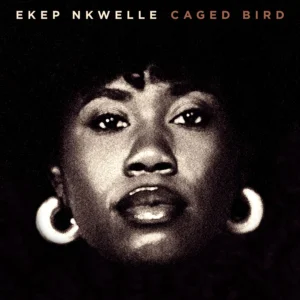 Ekep Nkwelle "Caged Bird"